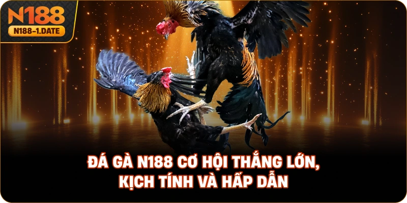 da-ga-n188-co-hoi-thang-lon-kich-tinh-va-hap-dan